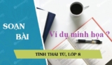 Tình thái từ là gì ? Ví dụ đặt câu về tình thái từ ? Một số tình thái từ được sử dụng