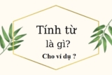 Tính từ là gì trong tiếng việt ? Cho ví dụ minh họa ? Ngữ văn lớp 4, lớp  5, lớp 6