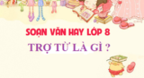 Trợ từ là gì trong tiếng việt ? Các trợ tự trong tiếng việt gồm ? Ví dụ ? Ngữ văn lớp 8