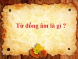 Từ đồng âm là gì ? Cho ví dụ ? Phân loại ? Ngữ Văn lớp 5, lớp 6, lớp 7, lớp 9