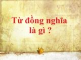 Từ đồng nghĩa là gì ? Cho ví dụ ? Phân loại từ đồng nghĩa ? Tiếng Việt Lớp 5