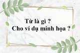Từ là gì ? Cho ví dụ ? Đặc điểm của từ ? Phân biệt từ và tiếng trong Tiếng Việt