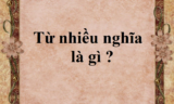 Từ nhiều nghĩa là gì ? Ví dụ ? Tác dụng ? Tiếng Việt Lớp 5, Lớp 6, Lớp 9