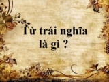 Từ trái nghĩa là gì ? Cho ví dụ minh họa ? Phân loại và tác dụng ? Tiếng Việt lớp 5