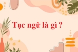 Tục ngữ là gì ? Cho ví dụ ? Nội dung và hình thức ? Ngữ Văn lớp 4, Lớp 6, Lớp 7