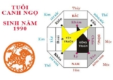 Tuổi Canh Ngọ 1990 xây nhà hướng nào ? Hướng nhà hợp tuổi ?