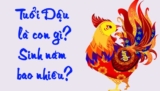 Tuổi Dậu sinh năm bao nhiêu ? Đặc điểm, tính cách người tuổi Dậu