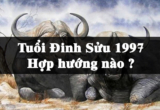 Tuổi Đinh Sửu 1997 xây nhà hướng nào ? Hướng nhà hợp và kỵ ?