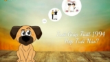 Tuổi Giáp Tuất 1994 hợp tuổi nào ? Hợp kết hôn và làm ăn tuổi nào