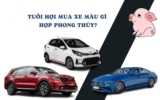 Tuổi Hợi nên mua xe màu gì ? Không nên chọn xe màu gì ?