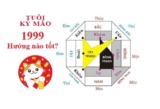 Tuổi Kỷ Mão 1999 xây nhà hướng nào ? Hướng hợp tuổi gia chủ ?