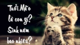 Tuổi Mão sinh năm bao nhiêu ? Tuổi Mão là con gì ? Mệnh gì ?
