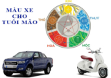 Tuổi Mão nên mua xe màu gì ? Màu xe thu hút tài lộc, may mắn
