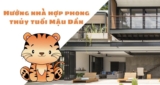 Tuổi Mậu Dần 1998 xây nhà hướng nào ? Hướng hợp tuổi gia chủ