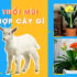 Mơ Thấy Người Chết Đuối Đánh Con Gì? Là Điềm Gì?