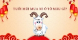 Tuổi Mùi nên mua xe màu gì ? Màu hợp mệnh ? Màu nên tránh ?