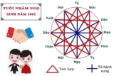Tuổi Nhâm Ngọ 2002 hợp tuổi nào ? Hợp màu gì ? Hợp số nào ?