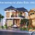 Tuổi Hợi hợp cây gì ? Cây phong thủy thu hút tài lộc, may mắn ?