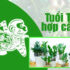 Tuổi Tỵ sinh năm bao nhiêu ? Đặc điểm, tính cách, màu sắc tuổi Tỵ