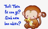 Tuổi Thân sinh năm bao nhiêu ? Đặc điểm và tính cách tuổi Thân ?