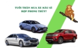 Tuổi Thân nên mua xe màu gì ? Màu xe phù hợp với tuổi Thân ?