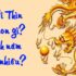 Hai chuyển động ngược chiều gặp nhau ? Công thức và bài tập – Toán lớp 5, 8, 9