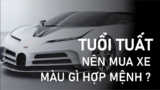 Tuổi Tuất nên mua xe màu gì ? Màu xe nào đem lại may mắn ?