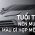 Con Chồn là số mấy ? Mơ thấy Con Chồn là điềm báo gì ? Đánh con gì ?