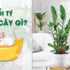 Công thức tính Diện tích toàn phần hình chóp cụt nhanh chóng, đơn giản