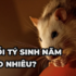 Người tuổi Sửu hợp cây gì ? Cây phong thủy nào mang may mắn?