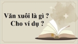 Văn xuôi là gì ? Cho ví dụ ? Văn xuôi có thể loại nào ? Cách viết, trình bày văn xuôi