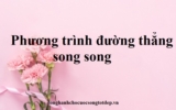 Viết phương trình đường thẳng song song với đường thẳng cho trước- Toán lớp 9