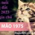 Đường phân giác là gì ? Đường phân giác trong tam giác là gì ? Toán Lớp 7
