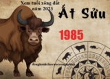 Xem tuổi xông đất năm 2023 cho tuổi Ất Sửu 1985 Cung Hỷ Phát Tài, Tấn tài tấn lộc