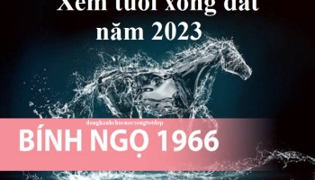 Xem tuổi xông đất năm 2023 cho gia chủ tuổi Bính Ngọ 1966 Bình An, Hạnh Phúc