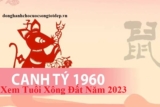 Xem tuổi xông đất năm 2023 cho gia chủ tuổi Canh Tý 1960 Nhiều Tài Lộc Năm Mới