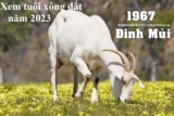 Xem tuổi xông đất năm 2023 cho tuổi Đinh Mùi 1967 An Khang – Thịnh Vượng