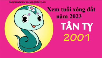 Xem tuổi xông đất năm 2023 cho tuổi Tân Tỵ 2001 Bình An, Phúc Lộc Tài Như Ý