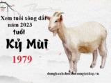 Xem tuổi xông đất năm 2023 cho gia chủ tuổi Kỷ Mùi 1979 Phát Tài, Phát Lộc