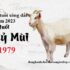 Cách tính nồng độ mol Cm của dung dịch ? Lý thuyết và bài tập có lời giải