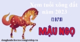 Xem tuổi xông đất năm 2023 cho tuổi Mậu Ngọ 1978 Thành Công Rực Rỡ