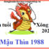 Giáp Đáp: Giấc Mơ Thấy Đám Ma Đánh Là Điềm Gì? Đánh Con Gì?