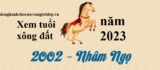 Xem tuổi xông đất năm 2023 cho tuổi Nhâm Ngọ 2002 Công Thành Danh Toại