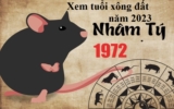 Xem tuổi xông đất năm 2023 cho tuổi Nhâm Tý 1972 cho Nam Mạng, Nữ Mạng