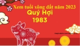 Xem tuổi xông đất năm 2023 cho tuổi Quý Hợi 1983 Vạn Sự, Bình An, Vui Vẻ