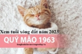 Xem tuổi xông đất năm 2023 cho tuổi Quý Mão 1963 Cát Tường – Như Ý – May Mắn