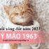 Lực hấp dẫn là gì ? Định luật vạn vật hấp dẫn được phát biểu ? Công thức, lý thuyết