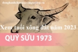 Xem tuổi xông đất năm 2023 cho gia chủ tuổi Quý Sửu 1973 May mắn, Phát đạt