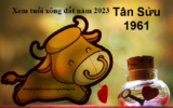 Xem tuổi xông đất năm 2023 cho gia chủ tuổi Tân Sửu 1961 Lộc Vào Đầy Nhà